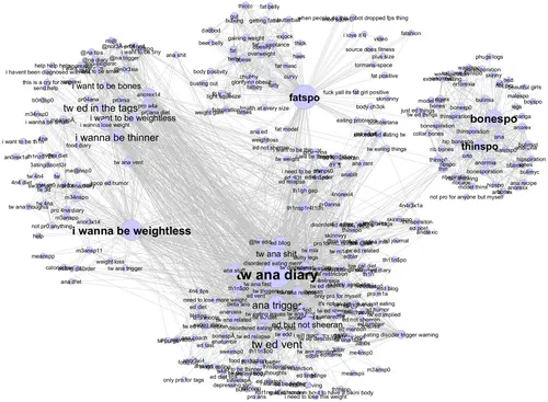 Auditing web content promoting eating disorders